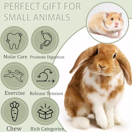 Fruit-Infused Balsa Wood Chew Toys, 16PCS Strawberry Orange and Pitaya Molar Blocks for Rabbits, Guinea Pigs and Chinchillas, 1.6 Inch Large Natural Small Animal Teeth Grinding Treats