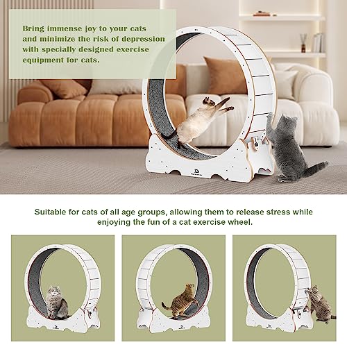 Cat Wheel, 46" XL Large Exercise Running Wheels with Detachable Carpet for Indoor Cats - color: White, size: XL