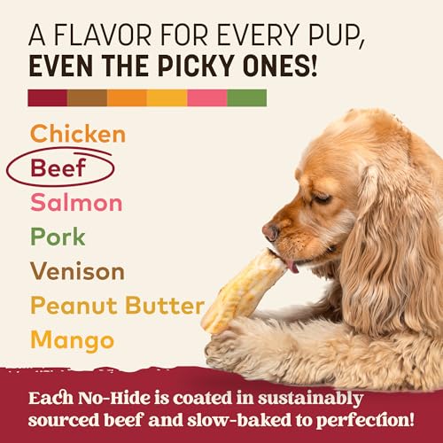 Earth Animal No Hide Dog Chews - Rawhide Free Small Rolls 2 Count Beef | Small Rolls Beef Flavored Natural Rawhide Free Long Lasting Dog Chews - Pet Treats for Small Dogs - size: 2 Count (Pack of 1)