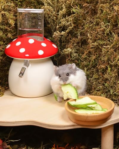 Niteangel Hamster Snack & Treats Toy: Freeze-Dried Zucchini & No Additive | Delivers Essential Vitamins & Minerals- Small Animal Natural Treat for Dwarf Syrian Hamsters Gerbils Mice Degus or Small Pets