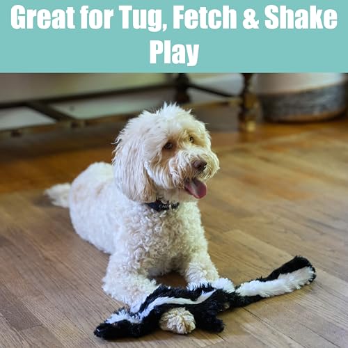SPOT Skinneeez Skunk 23-Inch Stuffing-Free Plush Dog Toy – Realistic Design with 2 Squeakers – Durable, Soft Polyester for Medium & Large Dogs – Tug, Fetch & Shake Play – for Moderate Chewers - style: Skunk