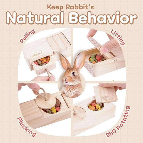 SoulThink® Interactive Wooden Pet Rabbit Toys - Sniff n' Snack Bunny Chew Toys for Rabbit Treats, Suited as Guinea Pig, Hamster for Boredom, Bunny Toys for Rabbits Keep Busy (2 Sets) - style: Sniff n' Snack - Beginner