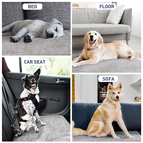 Kritter Planet Waterproof Pet Blanket, Reversible Throw for Dogs and Cats | 50 x 60 Inch, Washable Sofa and Bed Protector, Shields Furniture from Fur, Dirt, Scratches and Everyday Spills - color: Camel/Taupe, size: 60"x50"