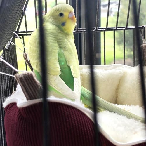 QBLEEV Bird Nest House, Parrot Winter Warm Bed for Cage Hanging Hammock | Soft plush snuggle hut tent, parrot cage accessories hideaway sleeping bed for budgie parakeet cockatiel conure lovebird - color: Red