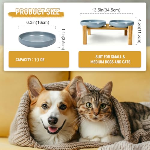 Shallow Elevated Cat Bowls with Bamboo Stand, 6.1 Inch Wide Ceramic Cat Dish Whisker Friendly, 2 Pack Pet Food and Water Plates - color: Grey elevated