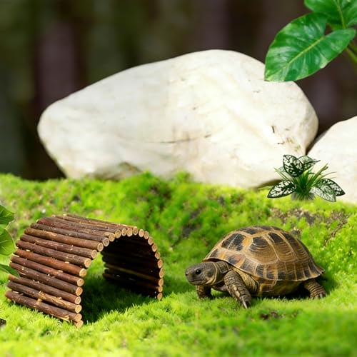 Bearded Dragon Tank Accessories,Reptile Hide Bearded Dragon Hide Wooden Bridge Tortoise Habitat Accessories Basking Platform Hideout for Tortoise Snake Ball Python Lizard Crested Gecko(19.7 x 8.8)