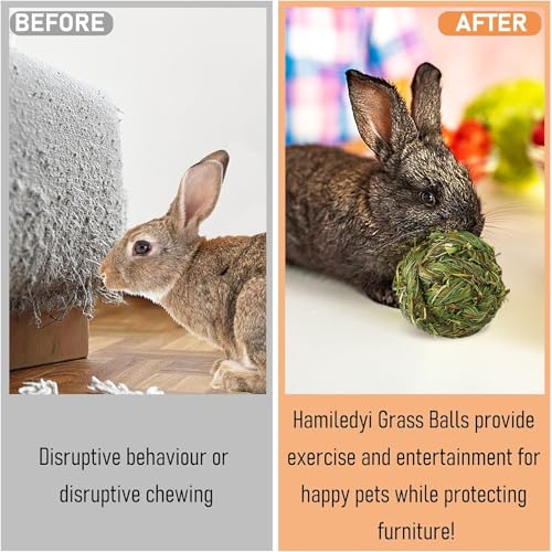Hamiledyi 4 Pcs Rabbit Chew Ball Timothy Grass Ball Small Animal Activity Play Chew Toys Teeth Grinding for Bunny Rabbits Hamster Guinea Pigs Gerbils Chinchillas - style: Round 4 PCS