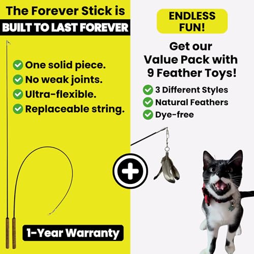 Forever Stick and 9 Cat Feather Toy Refills - The Unbreakable Cat Wand Toy, Durable Cat Toy Wand, Extra Long Cat String Toy, Cat Fishing Pole Toy for Bored Indoor Adult Cats, Cat Stick Toy - size: Forever Stick and 9 Feather Toys