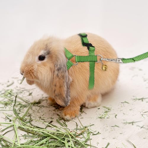 Hypeety Rabbit Harness with Leash Adjustable Nylon Vest for Small Animals | Adjustable 7.9-11.9'' chest, 7.1-10.3'' neck, escape-proof snap buckles, with bell lead for bunnies/guinea pigs/ferret, green - color: Green