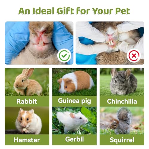 PINVNBY Natural Rabbit Chew Toys, Papaya Wood & Timothy Hay Molar Treats for Bunny Guinea Pig Hamster Chinchilla, Teeth Grinding Snack(3.5oz/100g)
