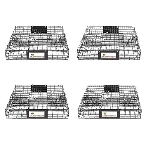 Rugged Ranch 4‑Pack Squirrelinator Multi‑Catch Squirrel Trap with Basin, Wire Cage, 25"x15"x6.5" Each - Live Catch‑and‑Release, 2‑Door Humane Rodent Control, No‑Poison Outdoor Use - color: Squirrel w/ Basin, size: 4 Pack