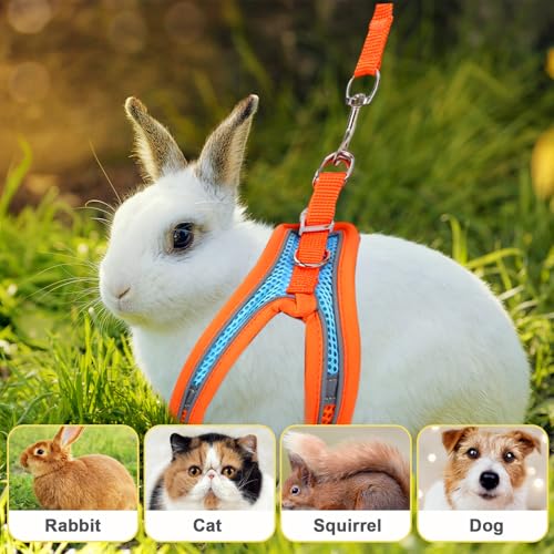 PETKNOWS 2 Pack Rabbit Harness and Leash Set | Double Buckle Bunny Harness with Reflective Strips Soft Breathable Mesh Vest Harness for Rabbits Walks Accessories