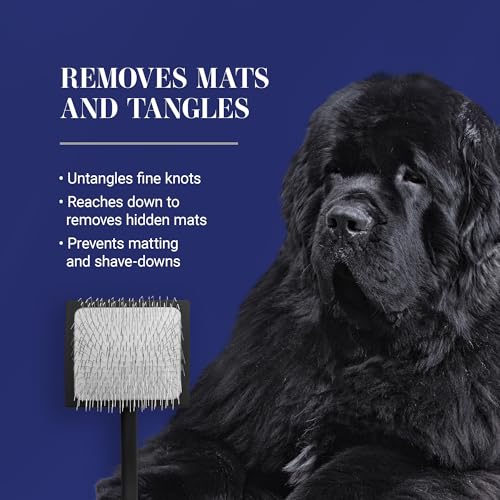 Chris Christensen Big K Dog Slicker Brush for Dogs (Goldendoodles, Labradoodles, Poodles), Groom Like a Professional, Fluff Detangle Style, Saves Time Energy, Black, Large - color: Black, size: Large