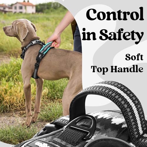 rabbitgoo Dog Harness Small Sized, Updated Easy On & Off with 3 Buckles | No Pull No Choke, Walking with 2 Clips and Handle, Adjustable Soft Reflective, Mountain Black, Small - color: Mountain Black, size: Small