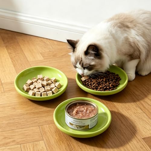 3 PCS Ceramic Cat Bowls, 5.5 in Pet Food Bowl Cat Dishes for Food and Water, Small Dog Dish(Green) - color: Green