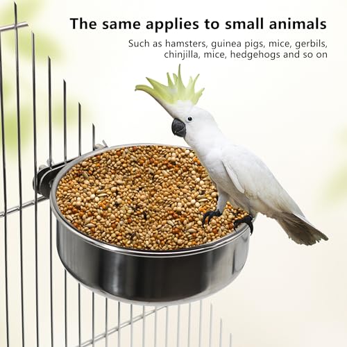 Stainless Steel Bird Feeding Dish Cups, 4 Pack, Medium | Clamp Holder, For Parrot Cockatiel Parakeet Macaw Finches Lovebirds, Cage Water Feeder - color: 4 Pack, size: Medium