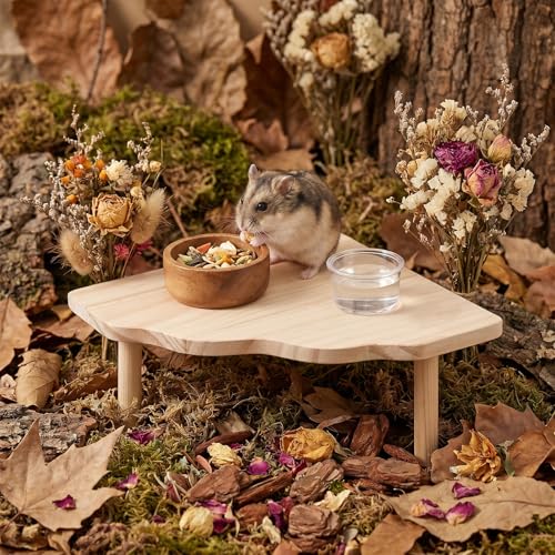 1 Pcs Hamster Platform Small Animal Resting Area 6.6'' L 5'' H Wood Stand Hamster Play Wooden Platform for Gerbils Dwarf Syrian Hamsters Mice Degus or Other Small Pets(Triangle)