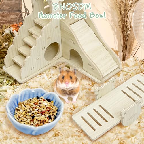 BNOSDM 2 Pcs Hamster Ceramic Food Bowl Flower Series Gerbil Drinking Bowls Anti-Turning Food & Water Dish for Dwarf Syrian Hamsters Gerbil Chinchilla（Blue, Narcissus Pattern） - color: Blue