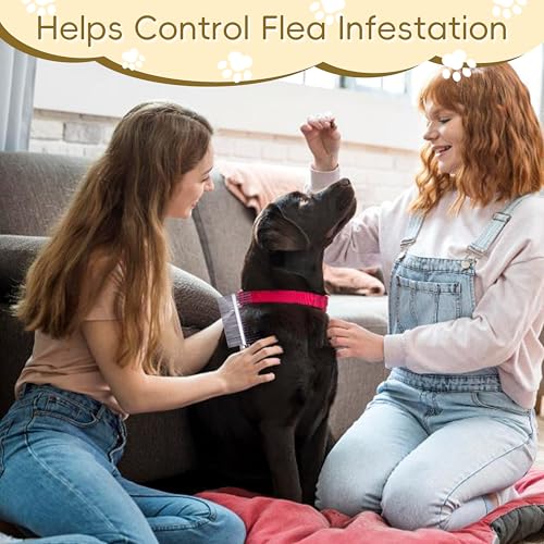 Double Row Undercoat Rake for Dogs & Cats - Wooden Handle Metal Dog Comb, Pet Grooming Dog Rake for Deshedding & Detangling - size: Grooming Comb
