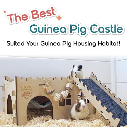 SoulThink® Large Guinea Pig Hideout & House - Easy to Assemble Wooden Guinea Pig Castle with Hammock, Ramp and Toys Accessories Habitat Suitable for Hamsters and Chinchilla - color: Comfy Hammock