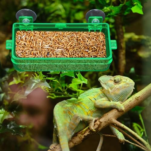 Reptile Suction Cup Feeder 2 Pack, Anti-Escape Food Bowl | for Gecko Lizard Iguana Chameleon Spider Frog Snake, Wall Mount Strong Suction Feeding Dish (Green, M) - color: Green, size: M