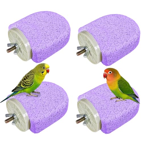 4Pack Bird Perch Stands Parrot Beak Grinding Stone Platform,Purple-S | Parakeet Foot Claws Trimmer,Calcium Perch Climbing Chewing Toys for Small Medium Birds Cockatiel Conure Lovebird Budgie - color: 4Pack Purple | S
