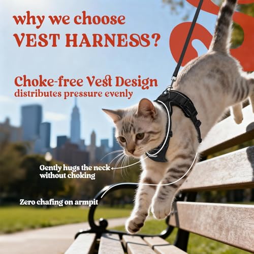 rabbitgoo Cat Harness and Leash Set, Escape Proof Vest, Black | Soft Breathable Mesh, Easy Adjustable Fit, Snap Buckles, Sturdy Clip, Reflective Strips, for Kittens & Small Cats Walks, Xxs - color: Black, size: Xxs