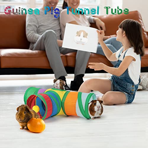 YUEPET Guinea Pig Tunnel, 3-Way Collapsible Play Tunnel with Ball, Rainbow | Guinea Pig Toys, Guinea Pig Play Tubes, Hanging Play Ball, Peekaboo Opening, Folds for Storage, 5.9 in Entrance - color: Rainbow