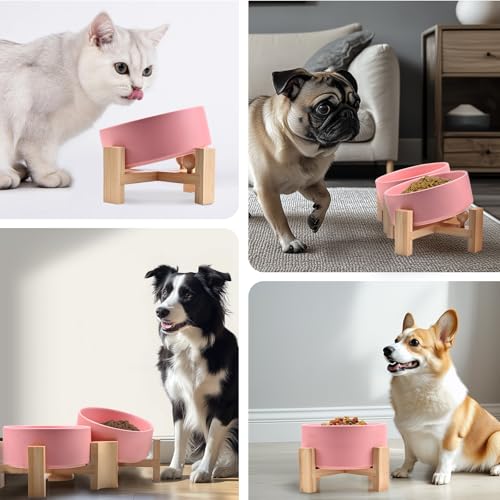 SPUNKYJUNKY 15° Slanted Ceramic Dog and Cat Bowl with Wooden Stand, Tilted Bulldog Food and Water Bowl No Slip Non-Spill for Cats Medium Dogs Big Face Pets 13.5 OZ (1.7 Cups, Pink × 2) - color: Pink, size: 1.7 CUPS × 2