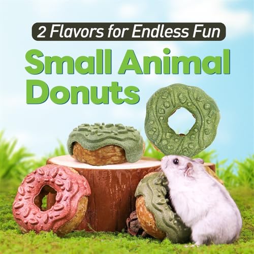 TEEWY Donut Guinea Pig Toys, Natural Vegetables, Fruits and Timothy, Hamster Chew Toys for Teeth, Gerbil Toys, Small Animal Chew Toys for Guinea Pig, Hamster, Chinchilla and Rat, 2PCS - style: 2PCS-Donut
