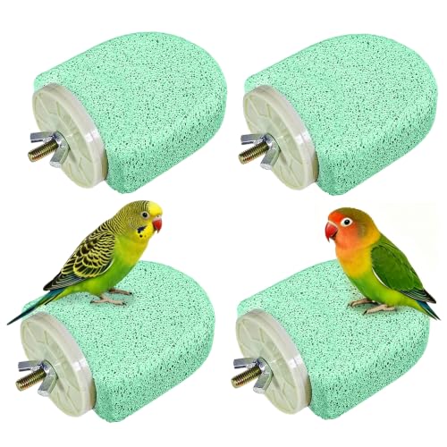 4Pack Bird Perch Stands Parrot Beak Grinding Stone Platform,Green-S | Parakeet Foot Claws Trimmer,Calcium Perch Climbing Chewing Toys for Small Medium Birds Cockatiel Conure Lovebird Budgie - color: 4Pack Green | S