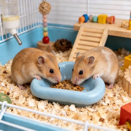 2 Pack Hamster Bowl Ceramic Food Dish Cloud-Shaped Water Feeder for Hamster Hedgehog Squirrel Guinea Pig Small Rodents (Blue