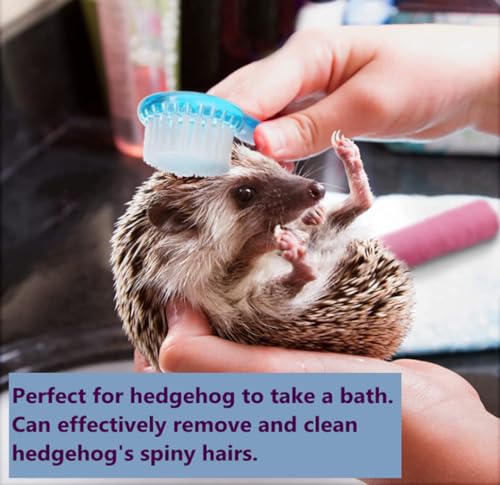 3PC Small Animal Bath Brush with Lid Soft Cleansing Brush Massage Combs for Hedgehog Guinea Pig Rabbit Chinchilla Ferret Small Animal Grooming Tool Cleaning Supplies