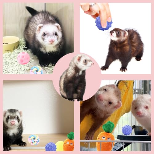 Ferret Toys Set Teething Balls Squeaky Toys Chew Toys | 12 Pack Colorful Teething Balls Squeaky Toys Cute Ferret Plush Toy Interactive Ferret Rat Small Animals Cage Exercise
