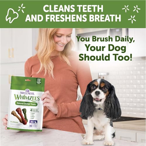 Wellness Whimzees Brushzees Natural Dog Dental Treat, VOHC Accepted Chews, Freshens Breath, Extra-Small Size, 12.7 oz Bag, 48 Count (Pack of 2) - size: 48 Count (Pack of 2)