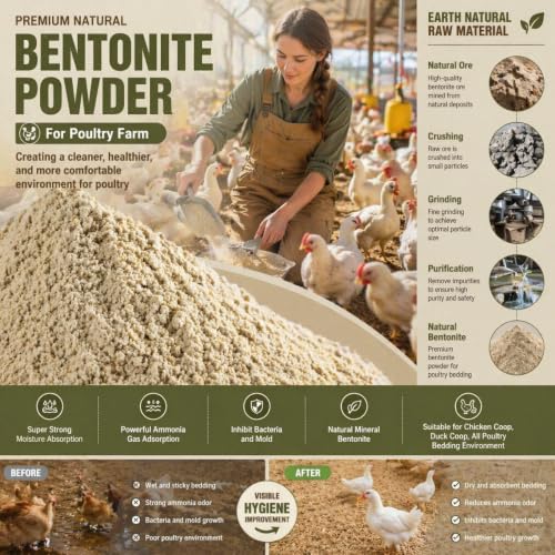 Animals and Poultry Calcium Bentonite Clay | 32 Oz Chicken Dust Bath | Healthier Eggs & Feathers | Chicken Coop Accessories | All Natural Bentonite Clay for Bath with Chinchill & Rabbits