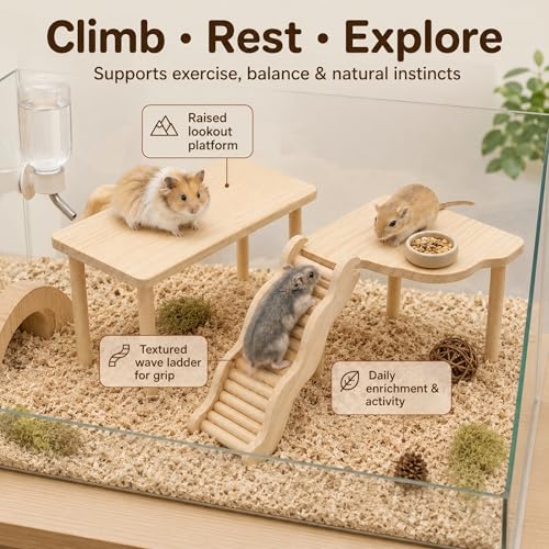 3-Piece Hamster Wood Platform Set with Wave Climbing Ladder, Natural Cage Accessories with Food & Water Stations, Climbing Enrichment for Dwarf, Syrian Hamsters, Mice & Gerbils