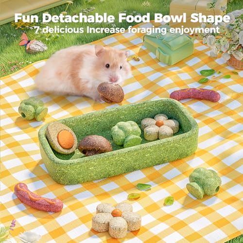 mini&moe Hamster Chew Toys for Teeth - Guinea Pig Chews and Treats Natural Hamster Enrichment Toys Improve Dental Health for Rat, Bunny, Chinchilla, Gerbils and Small Animal