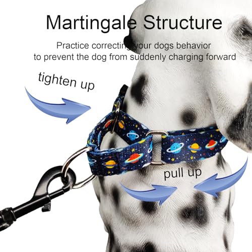 Martingale Dog Collars with Buckle No Slip Training Boy Dog Collar for Medium Dogs (Blue Space, Medium) - color: Blue Space, size: Medium