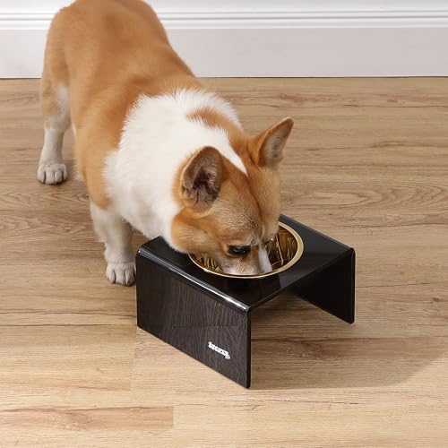 DBL2002B Keaton 5" Small/Medium Modern Acrylic Rectangular Elevated Pet Feeder with 20oz 1-Stainless Steel Bowl, Black/Gold - color: Black/Gold, size: 20 Ounces (5" Cups 1-Pack)