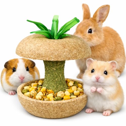 mini&moe Hamster Chew Toys for Teeth - Guinea Pig Chew Toys for Teeth Food Chews Treats Hamster Cage Accessories for Rabbit, Bunny, Chinchilla, Rat and Small Animal 3.1in Apple Core Shaped