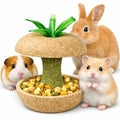 mini&moe Hamster Chew Toys for Teeth - Guinea Pig Chew Toys for Teeth Food Chews Treats Hamster Cage Accessories for Rabbit, Bunny, Chinchilla, Rat and Small Animal 3.1in Apple Core Shaped