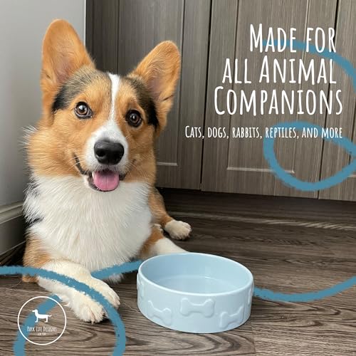 Ceramic Dog Bowl, Blue, Small | Durable Food and Water Dish | Stylish Manor Design | Easy-Clean, Dishwasher Safe - color: Blue, size: Small