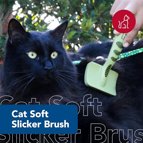 Coastal Pet Safari - Cat Soft Slicker Brush (6.5 x 3.5 Inches)