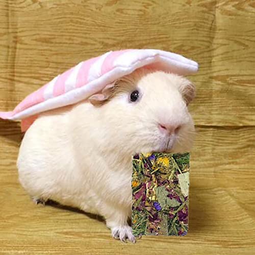 10 Pcs Rabbit Chew Toys for Teeth,Chinchilla Natural Timothy Hay Chips Treats Guinea Pig Floral Scent Snacks Treats Dental Health Chewable for Hamsters,Rabbits,Bunny,Chinchillas