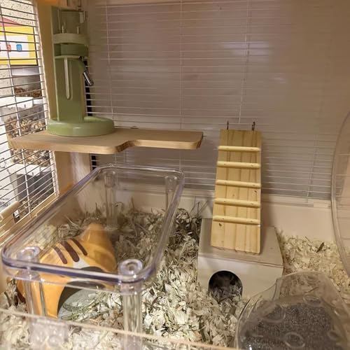 Hamster Platform 4Pcs Acrylic Small Animal Stand Climbing Toy Stuff with Wood Ladder for Dwarf Syrian Hamsters Gerbils Mice Sugar Glider Reptile Bird - color: Transparent(2PCS)