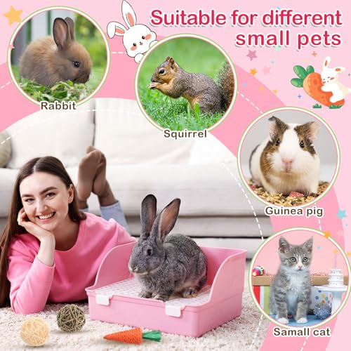 Reallnaive 15 Pcs Rabbit Starter Kit Small Rabbit Litter Box Girls Gift Animal Grooming Kit Bunny Toys Bowl Blankets with Cleaning Set for Guinea Pig Accessories(Light Pink) - color: Light Pink