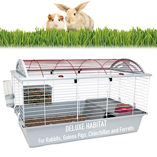 Living World Deluxe Hybrid Habitat for Small Animals, Large | Rabbit, Guinea Pig, Chinchillas, and Small Animal Cage - size: 37.8"L x 22.5"W x 22.0"H
