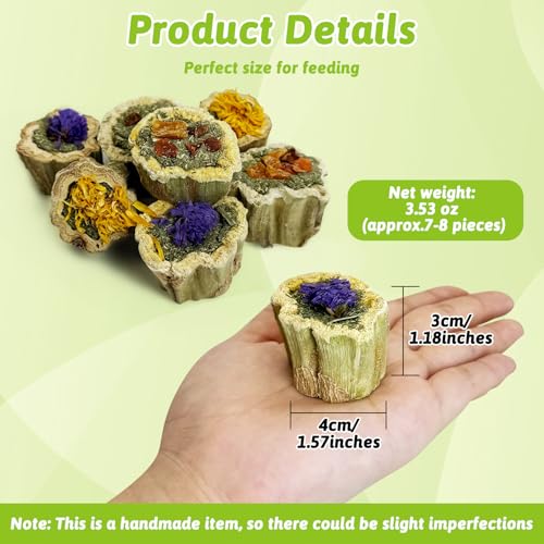 BNOSDM Hamster Chew Treats Chinchilla Natural Fruit and Vegetables Snacks Rabbit Papaya Toys for Teeth for Guinea Pigs Syrian Dwarf Hamsters Gerbils Mice, (3.52oz/100g),1PCS - color: Fruit & Vegetable - 1 Pack