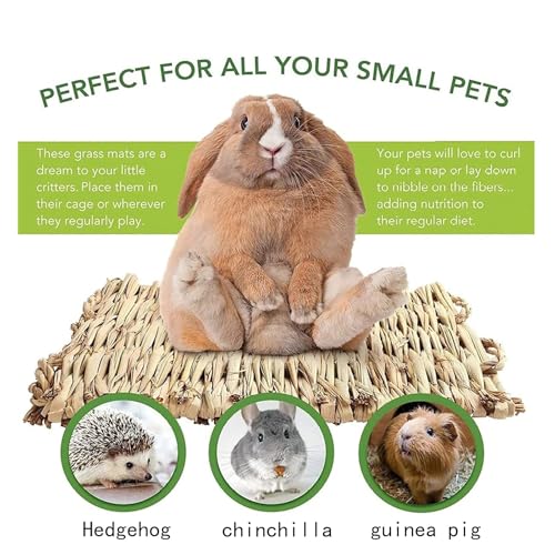 kathson 8 PCS Bunny Grass Mat Natural Woven Pet Bed Nest Mats Rabbits Chew Toys for Hamsters Parrot Rabbits Hedgehog Guinea Pig Bunny and Other Small Animals - size: 8 pcs